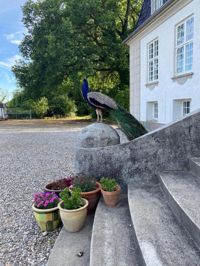 Rosenlund Gods - Kaelder B&B Sakskobing Exterior photo
